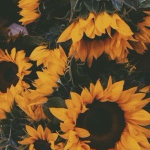 Meet your Posher, Heidi